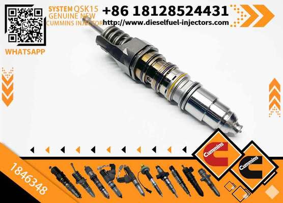 Common Rail Injector 1846347 or Fuel Injector 1846351 1846350 1846349 1846348 1846347