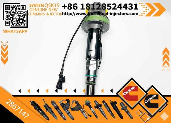 2867147 Fuel Injector 2887077 800169268 Construction Machinery Excavator Parts for QSK60 QSK38 QSK19 Engine