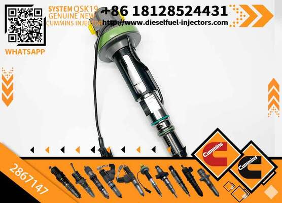 2867147 Fuel Injector 2887077 800169268 Construction Machinery Excavator Parts for QSK60 QSK38 QSK19 Engine