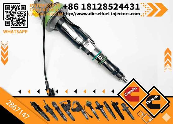 2867147 Fuel Injector 2887077 800169268 Construction Machinery Excavator Parts for QSK60 QSK38 QSK19 Engine