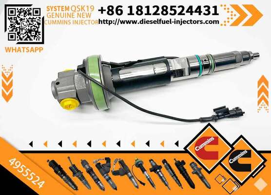 F00BL0J019 F00BL0J020 4964170 4955524 4928106 4924587 4089972 Genuine New Diesel Fuel Injector for QSK19