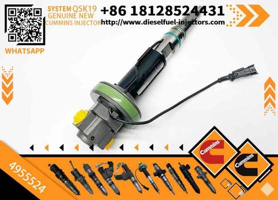 F00BL0J019 F00BL0J020 4964170 4955524 4928106 4924587 4089972 Genuine New Diesel Fuel Injector for QSK19