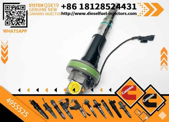 High Pressure Fuel Pump4089972 4928106 4955524 4955525 0 986 435 611 0 986 435 612 F 00B L0J 017 F 00B L0J 018