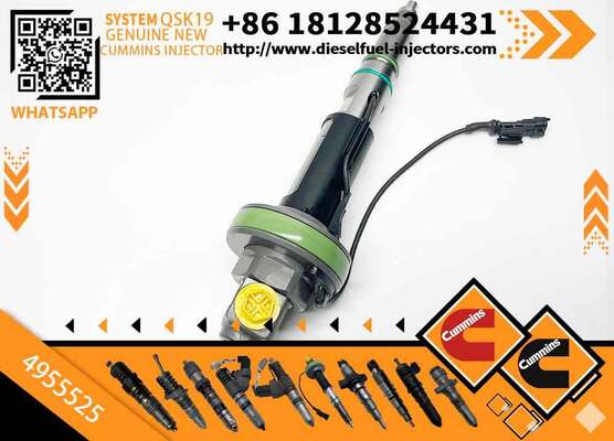 High Pressure Fuel Pump4089972 4928106 4955524 4955525 0 986 435 611 0 986 435 612 F 00B L0J 017 F 00B L0J 018