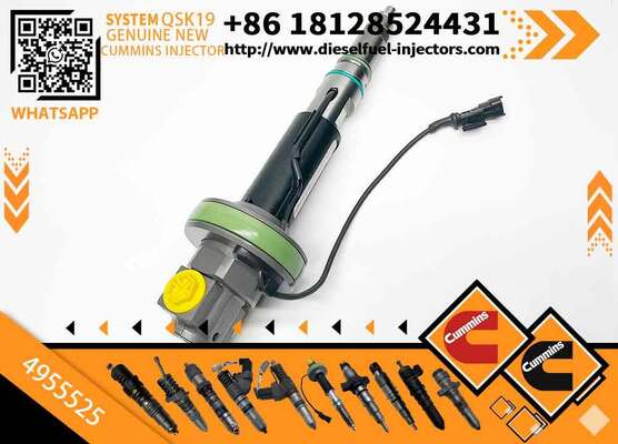 High Pressure Fuel Pump4089972 4928106 4955524 4955525 0 986 435 611 0 986 435 612 F 00B L0J 017 F 00B L0J 018