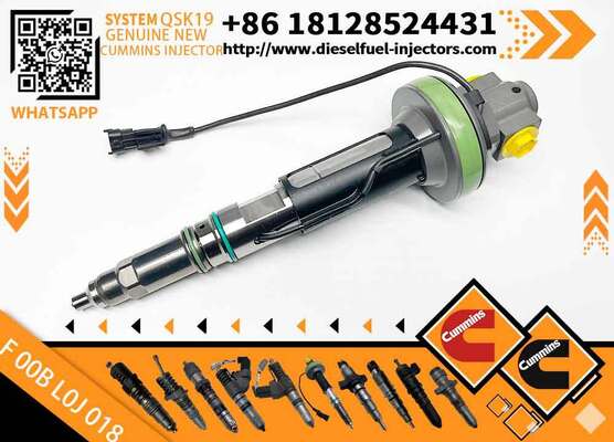 COMMON RAIL FUEL INJECTOR 4964171 4955525 F00BL0J018 F 00B L0J 018 Y431K05417 Y 431 K05 417