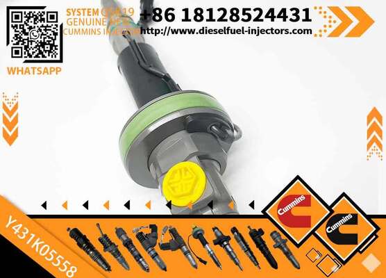 QSK19 QSK60 Common Rail Fuel Injector 2867148 2882078 Y431K05248 Y431K05558 4964170 2867147 2881088 for C-ummins Diesel Engine