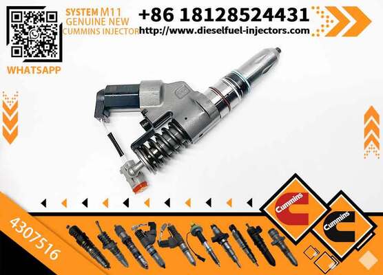 Fuel Injector for Cum-mins Engine NH NT 855 QSNT14CM876N102 N14 4307516 Shantui Bulldozer SD22 Replacement Part