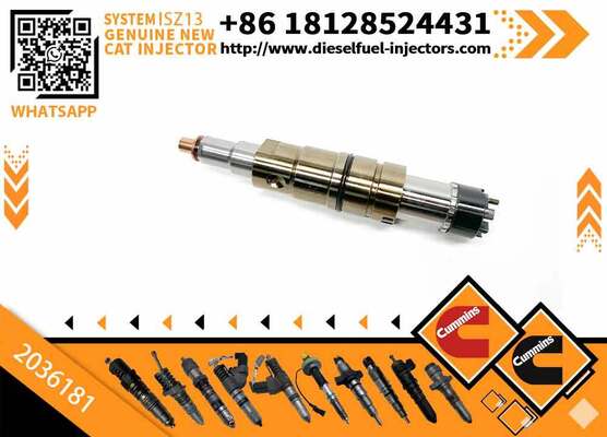 INJECTOR 2036181 4307217 2872056 4326959 2872284 4326989 2872405