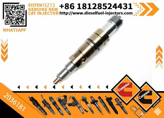 INJECTOR 2036181 4307217 2872056 4326959 2872284 4326989 2872405