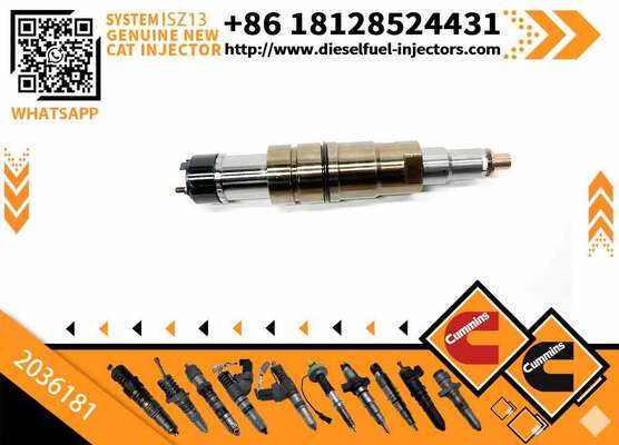 INJECTOR 2036181 4307217 2872056 4326959 2872284 4326989 2872405