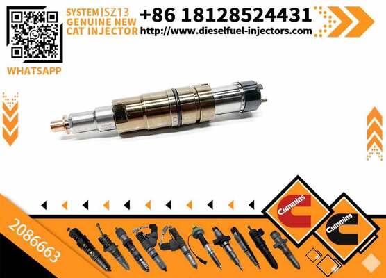 Rail Fuel Injector 2086663 1933613 1881565 2894920 for