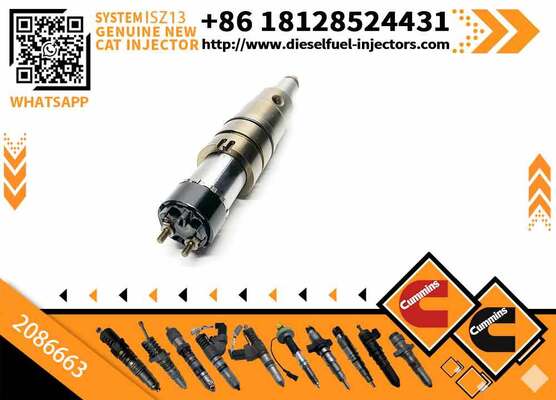 Rail Fuel Injector 2086663 1933613 1881565 2894920 for
