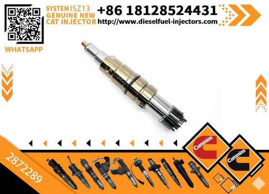 Parts diesel Fuel Injector 2872544 2872289