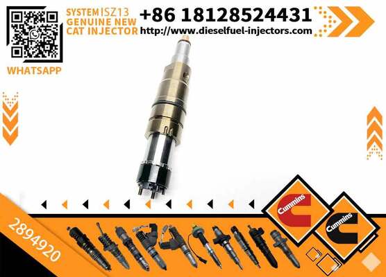 208663 Diesel Universal Rail Injector 2894920 2482244