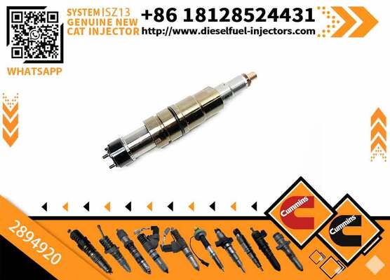 208663 Diesel Universal Rail Injector 2894920 2482244