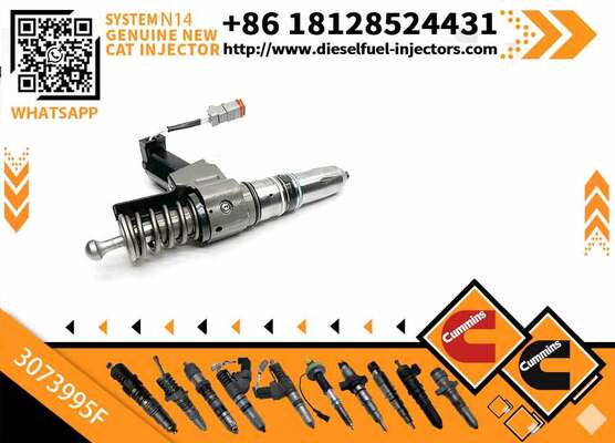 Common Rail Fuel Injector 4307795 3073995F for