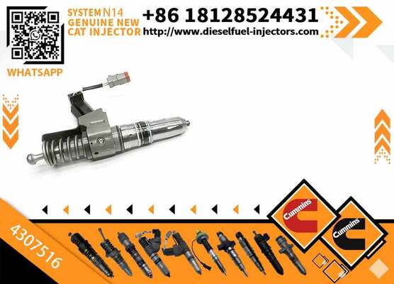 Injector Excavator Engine Injectors 4307516 4307776 4307795