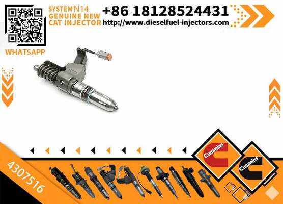 Injector Excavator Engine Injectors 4307516 4307776 4307795