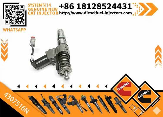 Injector Excavator Engine Injectors 4307516N 4307776 4307795