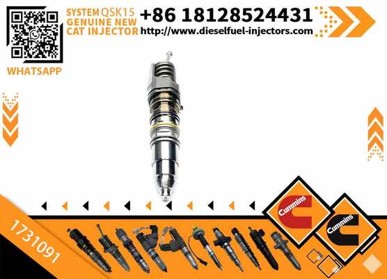 AUTOJIA High Quality Injector Excavator Engine Injectors 1731091 579253