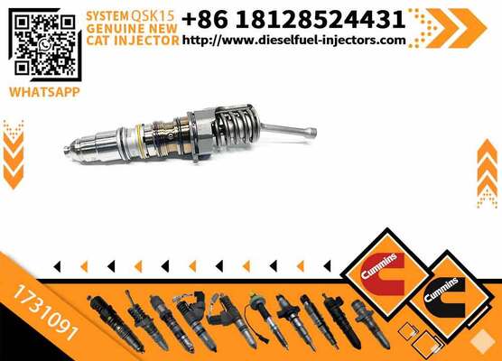 AUTOJIA High Quality Injector Excavator Engine Injectors 1731091 579253
