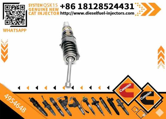 Auto Parts Diesel Engine Fuel Injector 4954647 4954648 4954649