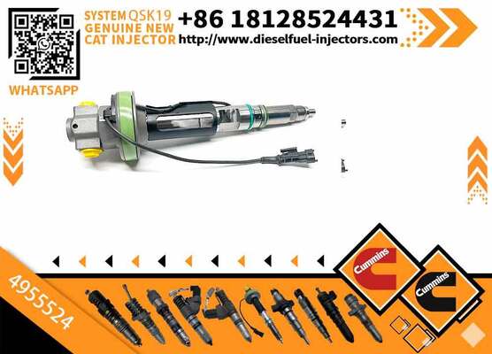 Common Rail Fuel Injector 4089972 High Quality Common Rail Diesel Fuel Injector 4928349 4955524 2867149 diesel 4955524 4955525 for