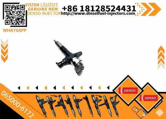 Injector 0650006172 8980558632 065000-6172 8-98055863-2 Common Rail Diesel