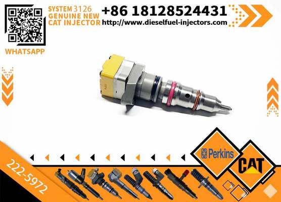 Nozzle Injection 222-5972 10R9239 for 3126B